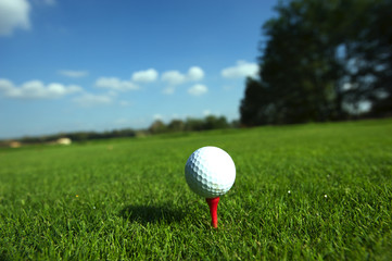Golf ball on tee