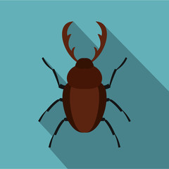 Rhinoceros beetle icon. Flat illustration of rhinoceros beetle vector icon for web