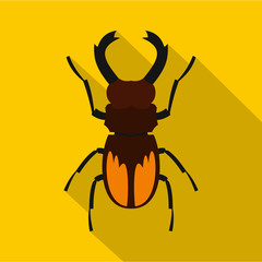 Stag beetle icon. Flat illustration of stag beetle vector icon for web
