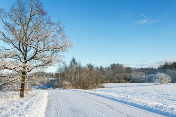 Countryside road in a winter.