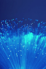 Close up of blue fibre optics
