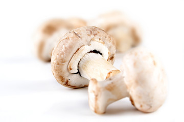 Studio shot of champignones on white background