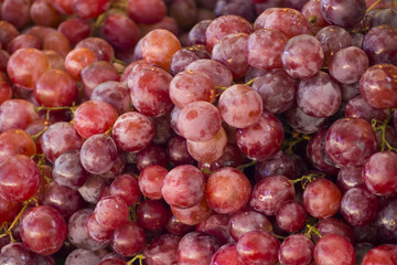 delicious fresh grapes fruits