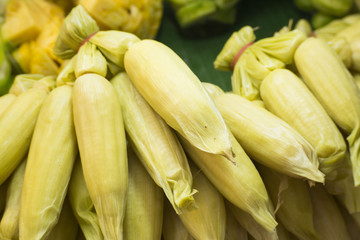 boiled sweetcorn for sale in market
