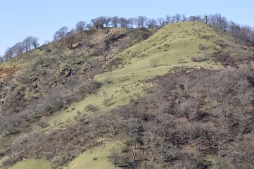 丹沢山から不動ノ峰を望む