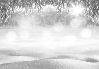 Winter bright background. Christmas background with deep snowdrifts and branches of trees in frost