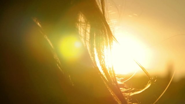 young woman at the sunset silhouette of her hair