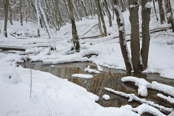 Fototapeta na wymiar Brook in winter