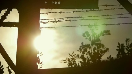 the sun over the prison: fence with barbed wire - Powered by Adobe