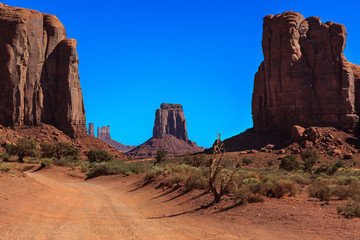 Fototapeta premium Rocky castles. Monument Valley