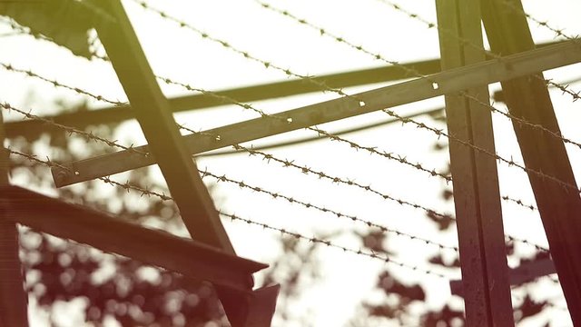 barbed wire, restricted area, prison