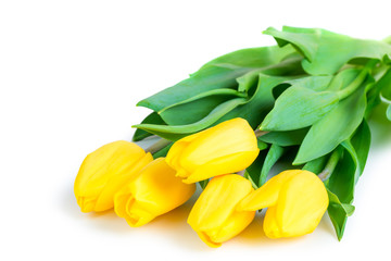 Obraz premium bunch of juicy yellow tulips on a white background