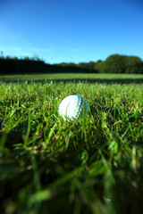 Golf ball on wet lush fairway