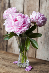 Peonies