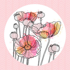 Template greeting cards and invitations with poppies. Freehand drawing