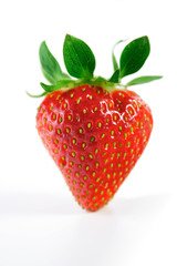 Studio shot of strawberry on white background