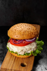 Fresh homemade burger with chicken cutlet, tomato sauce and mozz