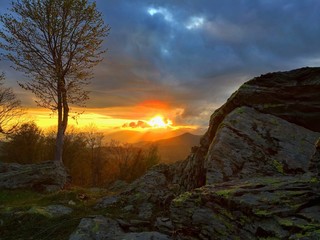paesaggio tramonto albero roccia