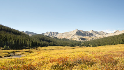 Autumn Colors, Pine Valley, Collegiate Peaks Wilderness, Pike an