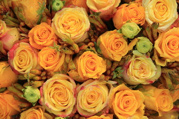 Fototapeta na wymiar Mixed yellow bridal roses