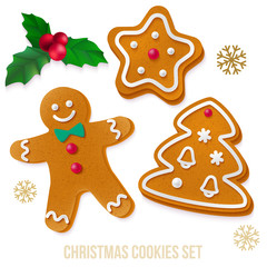 Set of gingerbread Christmas cookies with holly and snowflakes.