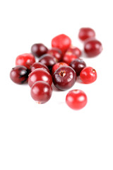 Cranberries on white background - studio shot