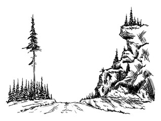 Obraz premium forest path