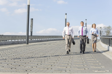 Rear view of businesspeople walking on bridge