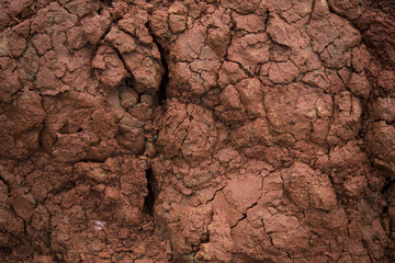 Image of red soil texture