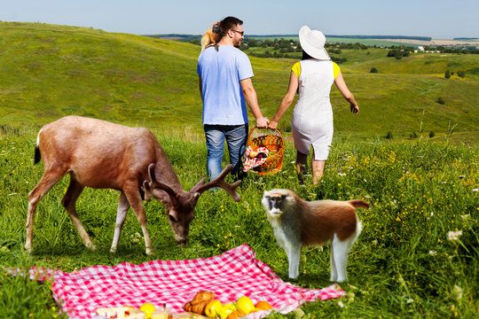 Young couple going home arter picnic