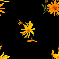 background texture made of sunflower and place for text
