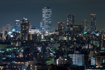 Obraz na płótnie Canvas Tokyo Night View - 東京の夜景