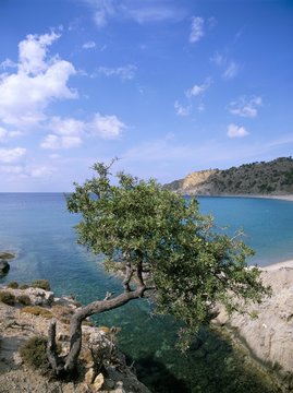 Samothraki (Samothrace), Aegean Islands, Greek Islands, Greece