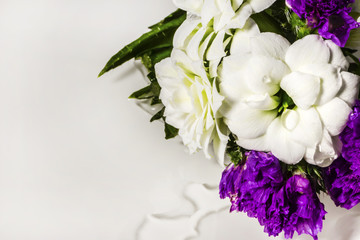 flowers close-up isolation on white background