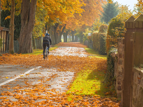 Sporty in the autumn