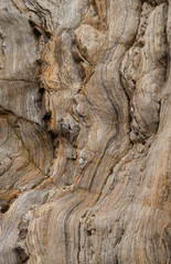 Vertical Rock background
