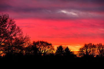 Obraz na płótnie Canvas Sonnenaufgang mit Bäumen in Vorder- und Hintergrund