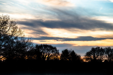 Sonnenaufgang mit Bäumen in Vorder- und Hintergrund