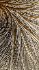 Abstract feather background - digitally generated image