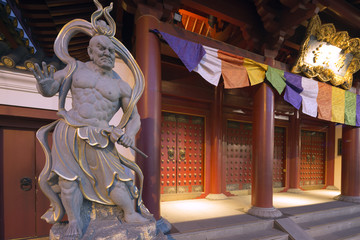 Guardian statue, Buddha Tooth Relic temple, Chinatown, Singapore