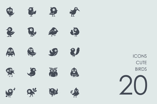 Set of cute birds icons