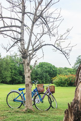 Fototapeta na wymiar Bicycle waiting near tree.