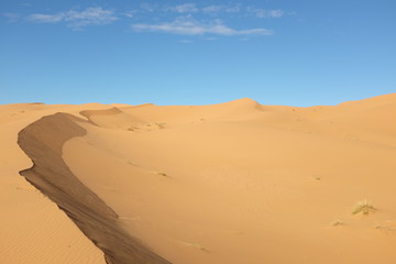 Fototapeta na wymiar Dune Landscape of Sahara Desert with Copyspace