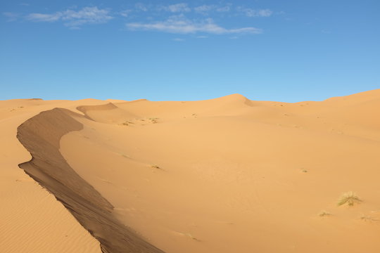 Dune Landscape of Sahara Desert with Copyspace