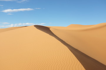 Dune Landscape of Sahara Desert