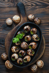 Escargot snails on a rustic wooden background, flat-lay view