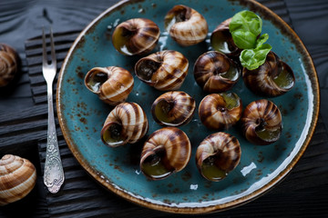 Turquoise glass plate with baked bourgogne snails, closeup