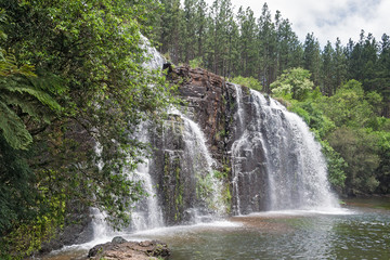 Obraz premium The forest falls of the mac mac river in the north of sabie, south africa 