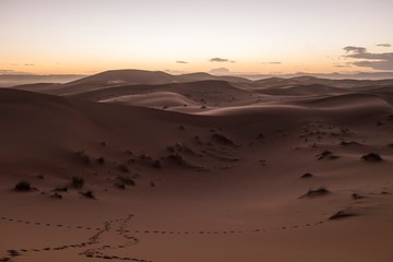 Fototapeta na wymiar Dune Landscape with Footsteps after Sunset