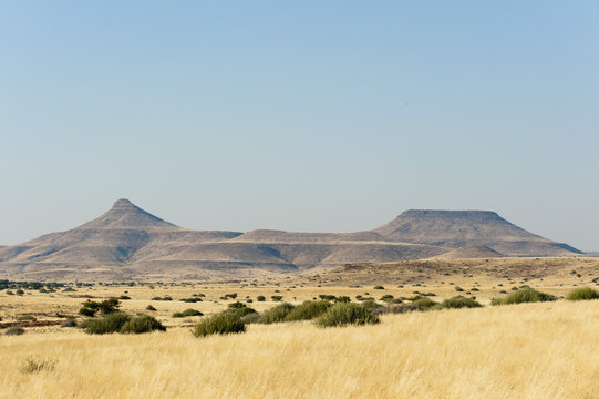 Palmwag Concession, Damaraland, Namibia